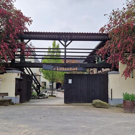 Schoene Wohnung Kleiner Onkel Auf Idyllischem Reiterhof Nahe Burg Eltz Münstermaifeld Kültér fotó